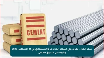 سعر الطن.. تعرف على أسعار الحديد عز والاستثماري في 31 أغسطس 2025 وأثرها على السوق المحلي